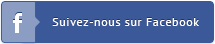 Bouton Facebook Esprit Bois